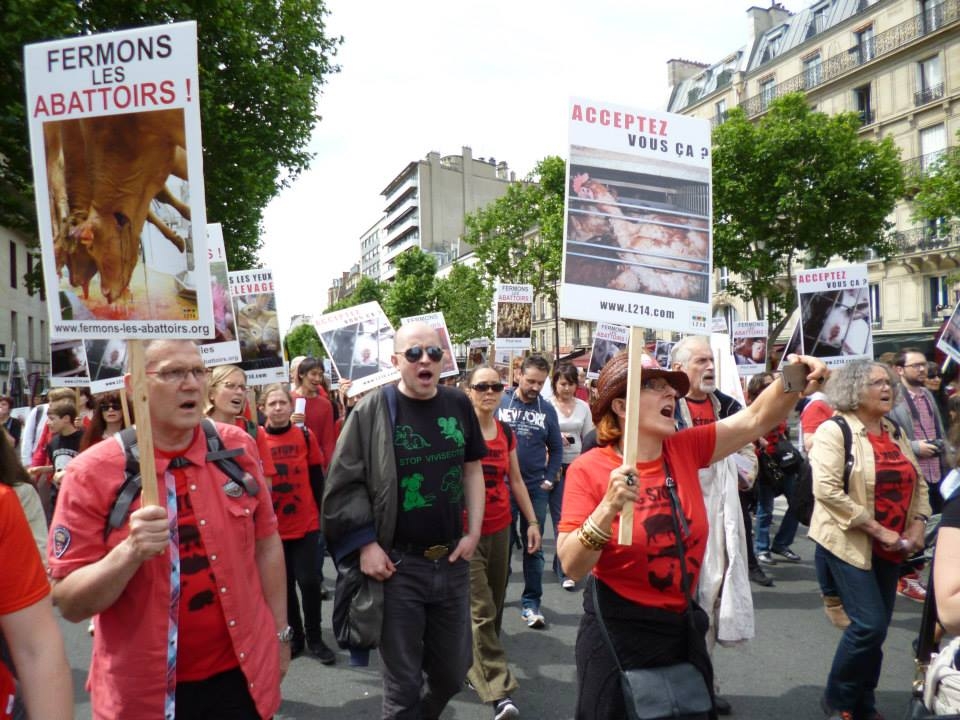 Check It Animal Rights Protest Barcelona Listen here - Animal Rescue